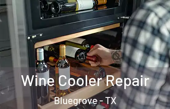  Wine Cooler Repair Bluegrove - TX