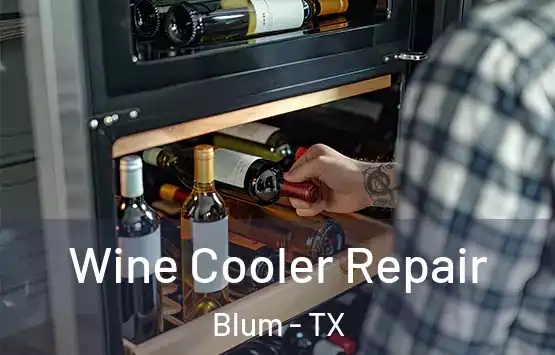  Wine Cooler Repair Blum - TX