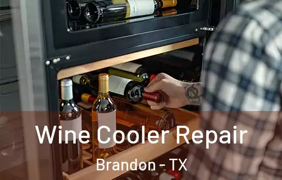  Wine Cooler Repair Brandon - TX