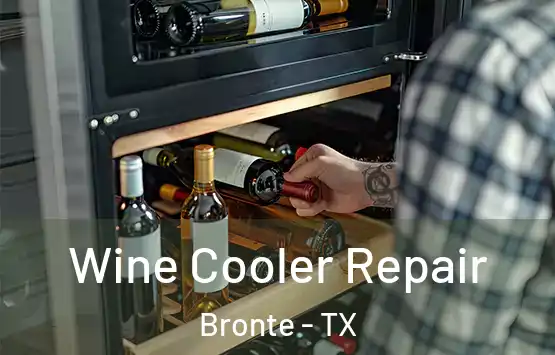  Wine Cooler Repair Bronte - TX