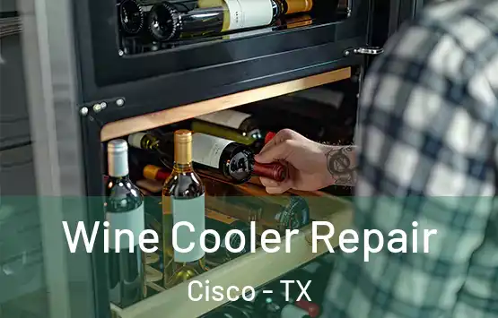  Wine Cooler Repair Cisco - TX