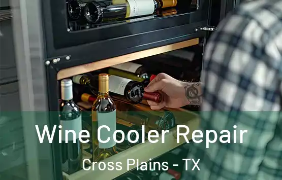  Wine Cooler Repair Cross Plains - TX