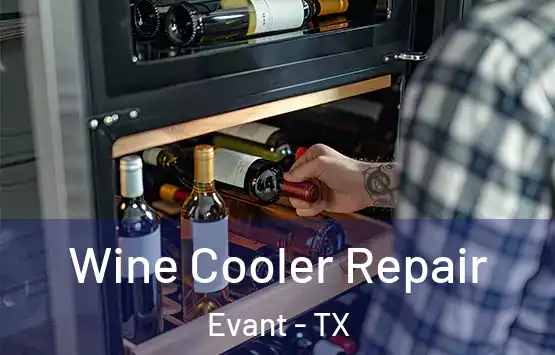  Wine Cooler Repair Evant - TX