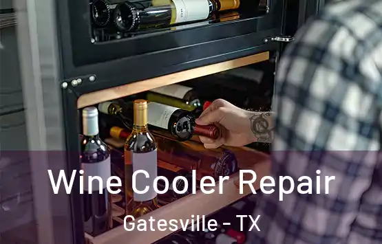  Wine Cooler Repair Gatesville - TX