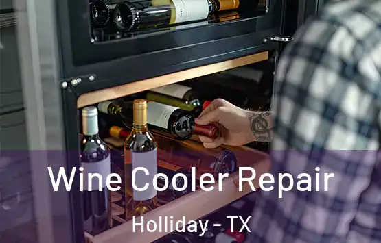  Wine Cooler Repair Holliday - TX