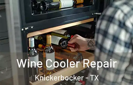  Wine Cooler Repair Knickerbocker - TX