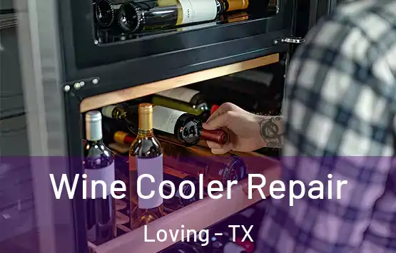  Wine Cooler Repair Loving - TX