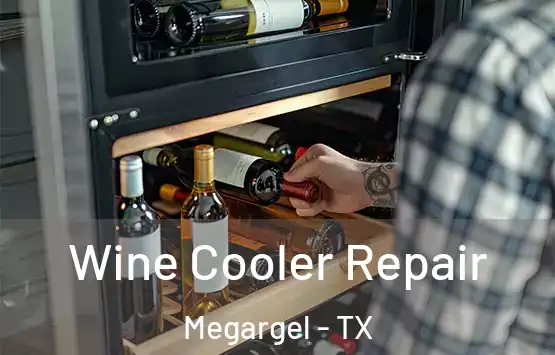  Wine Cooler Repair Megargel - TX
