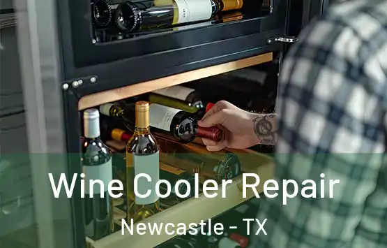  Wine Cooler Repair Newcastle - TX