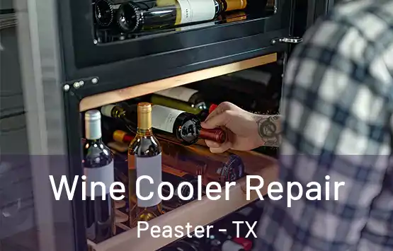  Wine Cooler Repair Peaster - TX