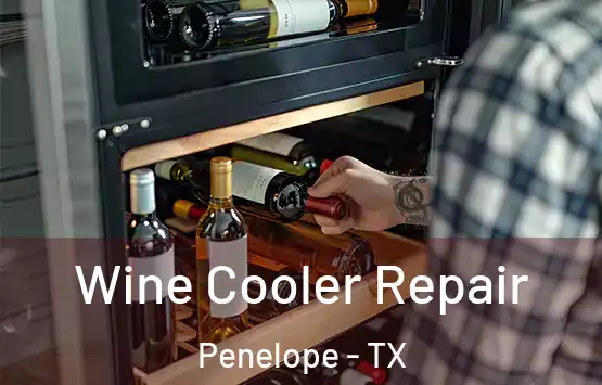  Wine Cooler Repair Penelope - TX