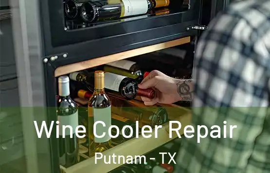  Wine Cooler Repair Putnam - TX
