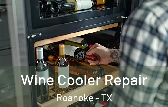  Wine Cooler Repair Roanoke - TX