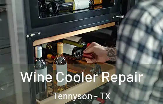 Wine Cooler Repair Tennyson - TX